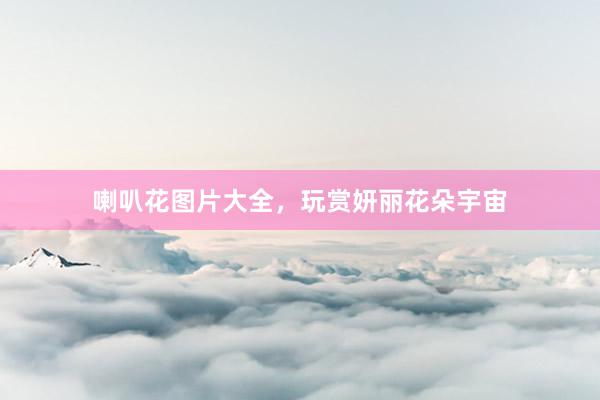 喇叭花图片大全，玩赏妍丽花朵宇宙